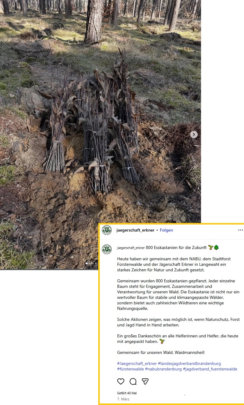 Screenshot eines Instagram-Posts, Umriss leicht bearbeitet